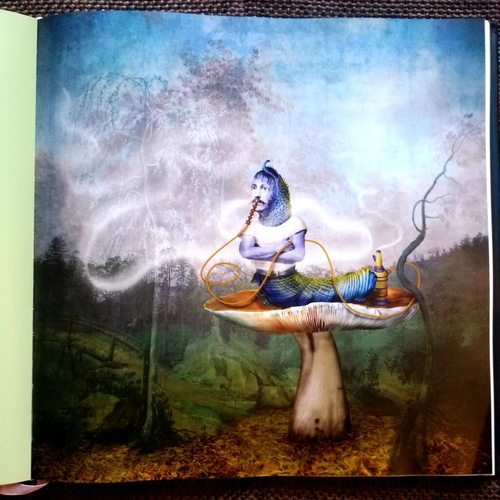 "Alice's Adventures in Wonderland" illustrated by Maggie Taylor Illustrated "Alice in Wonderland" Kids Book Reviews 20210321 160023
