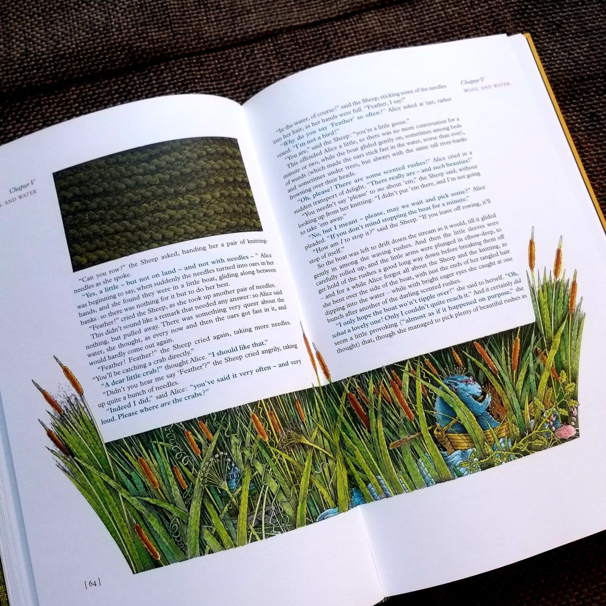 Lewis Carroll's "Through the Looking-Glass" illustrated by John Vernon Lord Illustrated "Through the Looking Glass" Kids Book Reviews 20210325 114402
