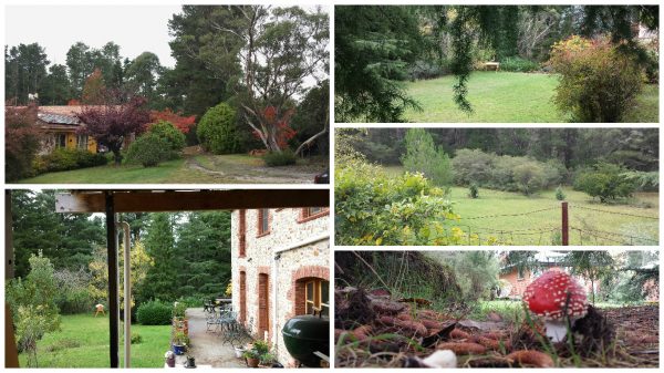 “Pinerolo” Picture Books Cottage and the person behind it