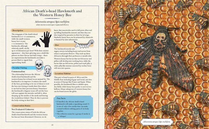 Best children's books of 2021 Bologna Ragazzi Award, Kate Greenaway Medal Award, The New York Times Selected Best News the illustrated encyclopedia of peculiar pairs 1 best childrens books 2021